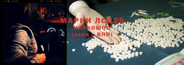 индика Балахна