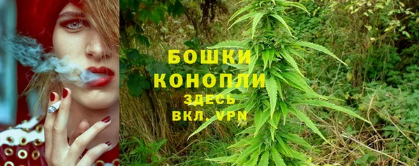 индика Балахна