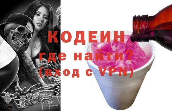 индика Балахна