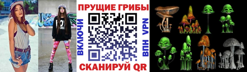 Галлюциногенные грибы Psilocybine cubensis Суоярви