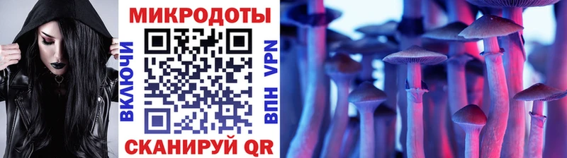 Псилоцибиновые грибы Psilocybe  MEGA ссылка  Суоярви 